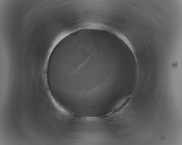 X0000096981152200802151325