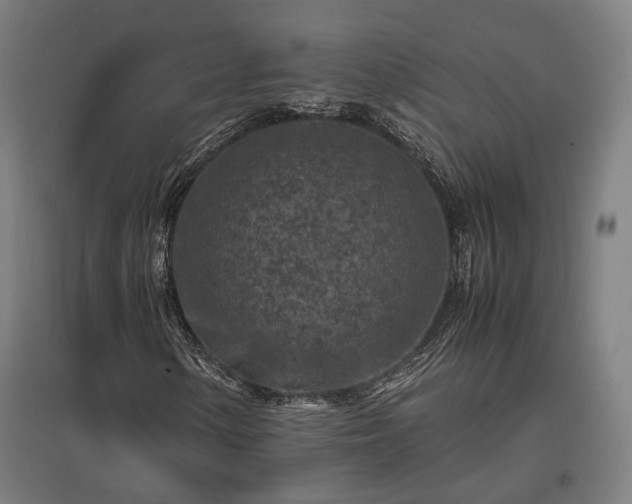 X0000096981154200802151324