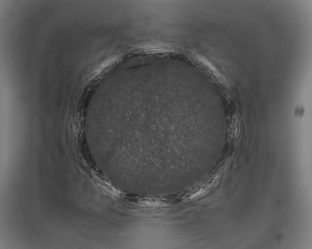 X0000096981157200802151324