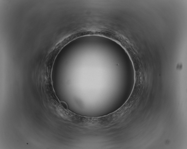 X0000096981158200802151324