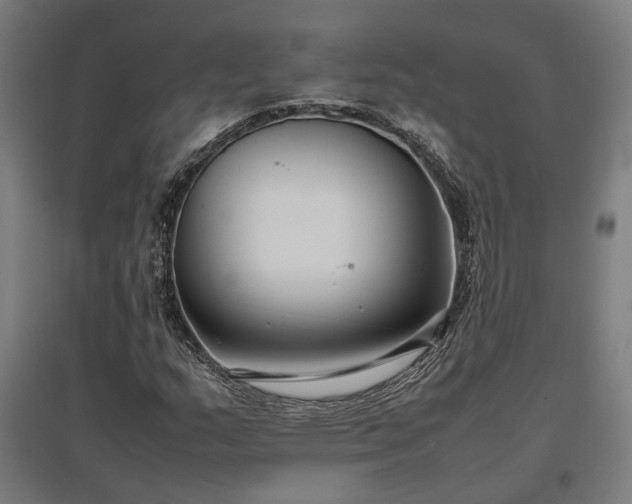 X0000096981159200802151324