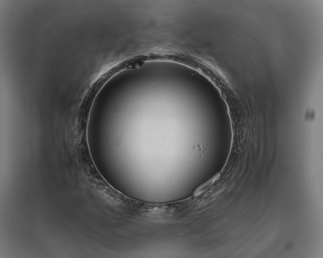 X0000096981160200802151324