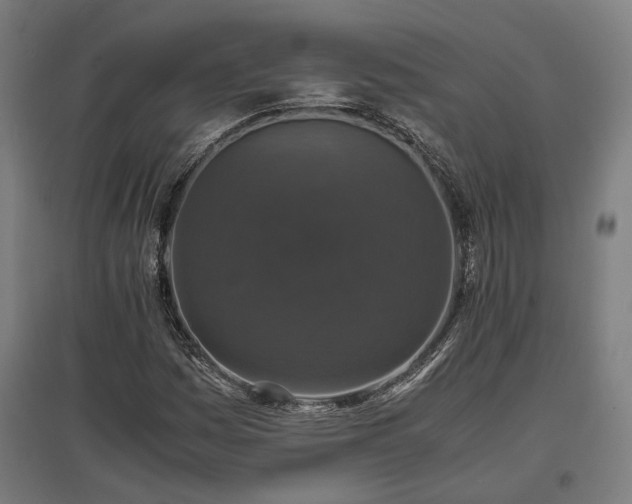 X0000096981161200802151324