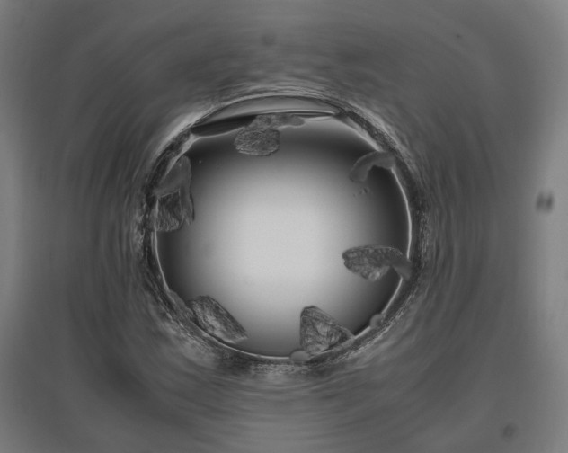 X0000096981163200802151324