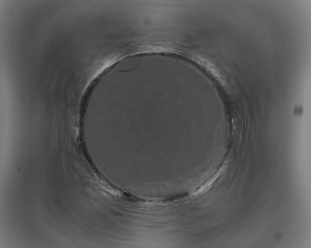 X0000096981165200802151324