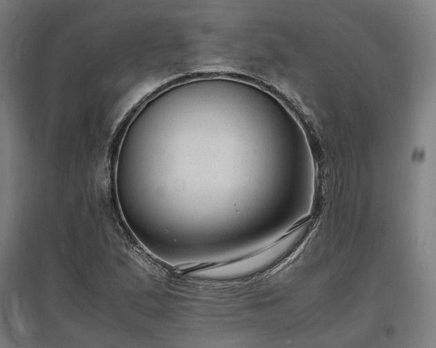 X0000096981167200802151324