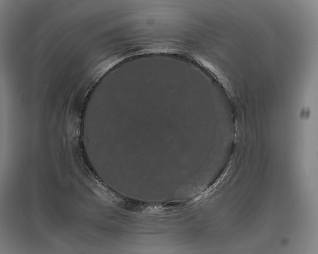 X0000096981169200802151324