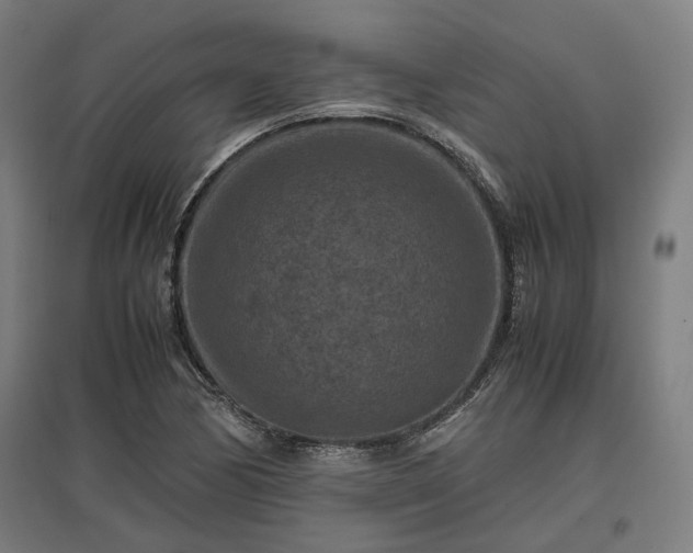 X0000096981170200802151324