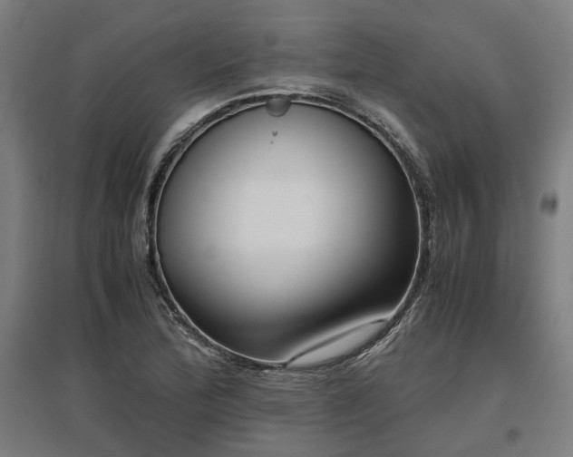 X0000096981172200802151324