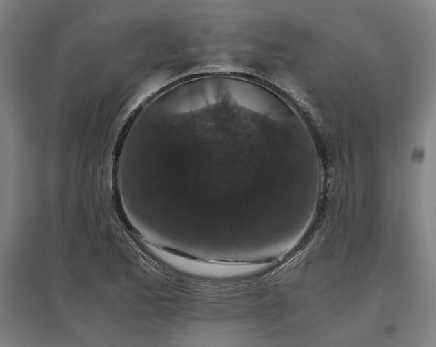 X0000096981173200802151324