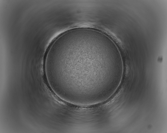 X0000096981174200802151324