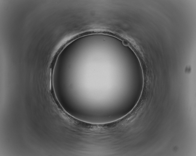 X0000096981175200802151324