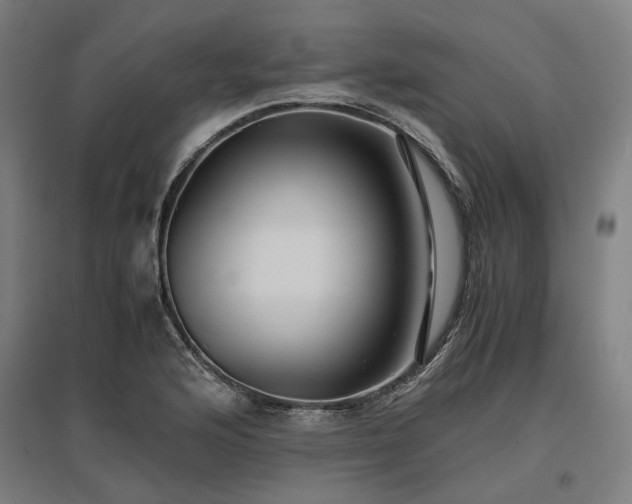 X0000096981176200802151324