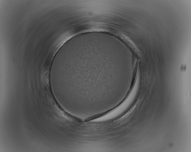 X0000096981177200802151324