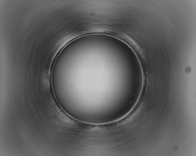 X0000096981178200802151324