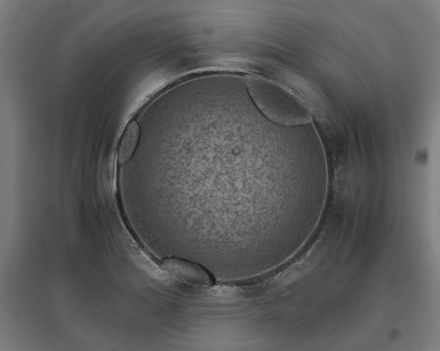 X0000096981180200802151323