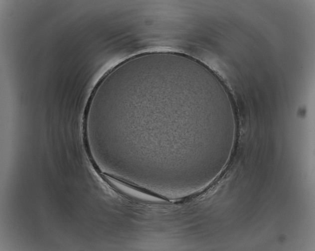 X0000096981181200802151323