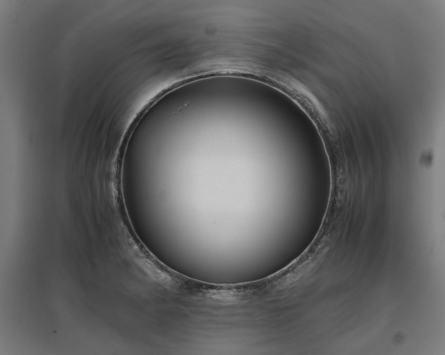 X0000096981182200802151323