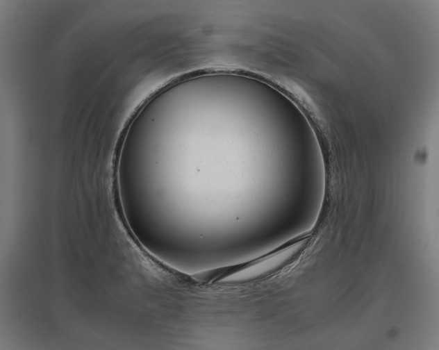 X0000096981183200802151323