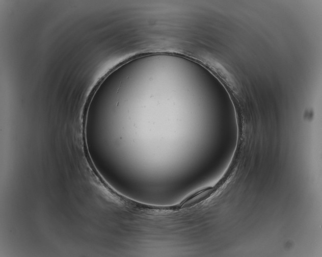 X0000096981184200802151323