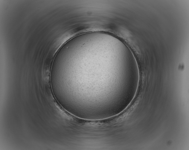 X0000096981185200802151323