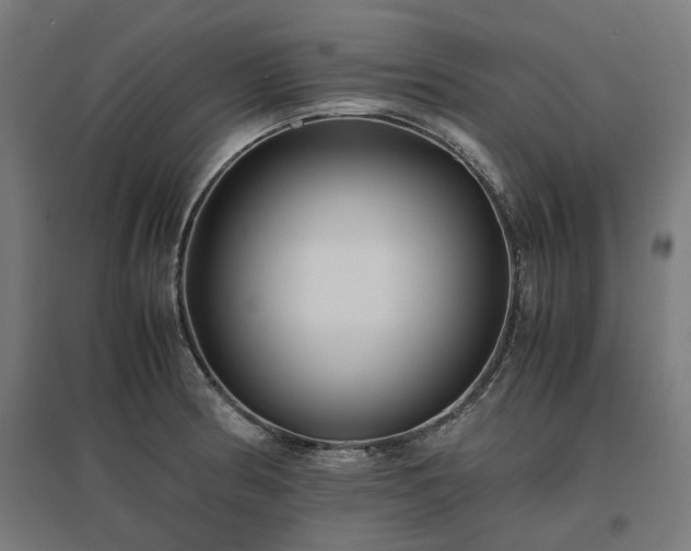 X0000096981186200802151323