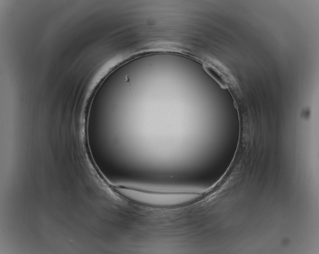 X0000096981188200802151323