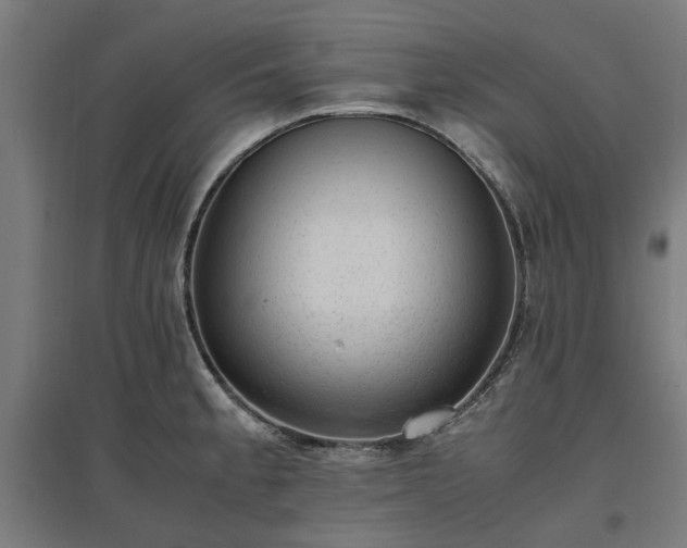 X0000096981189200802151323