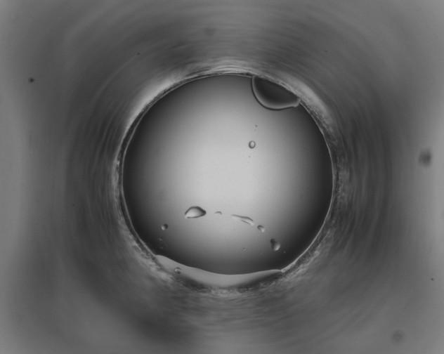 X0000096981190200802151323