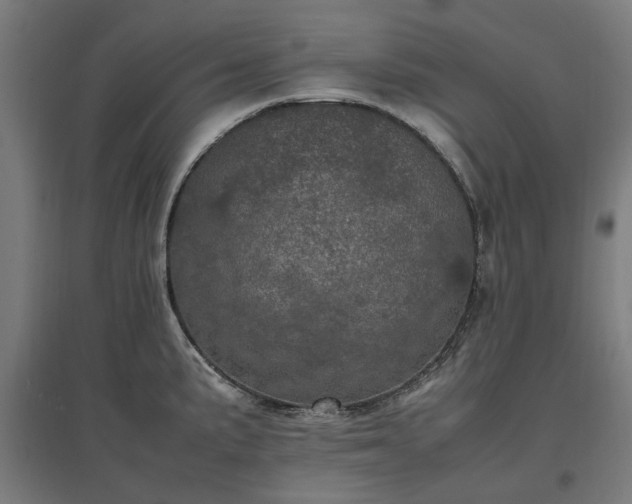 X0000096981191200802151323