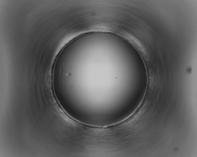 X0000096981192200802151323