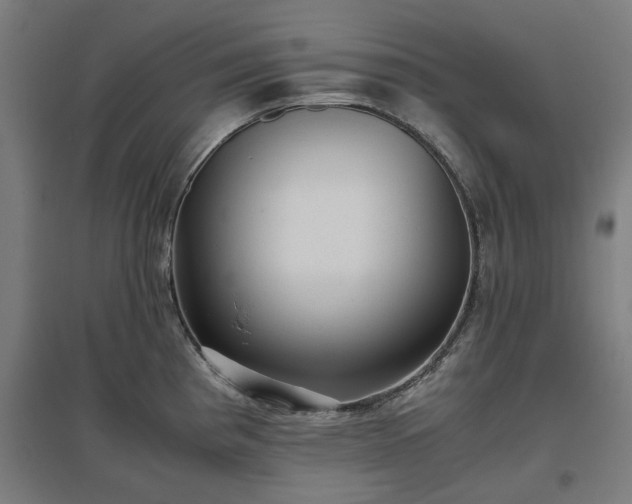 X0000096981193200802151323