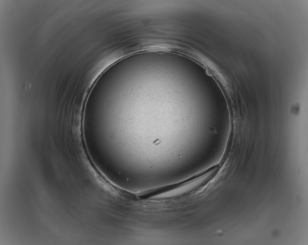 X0000096981194200802151323