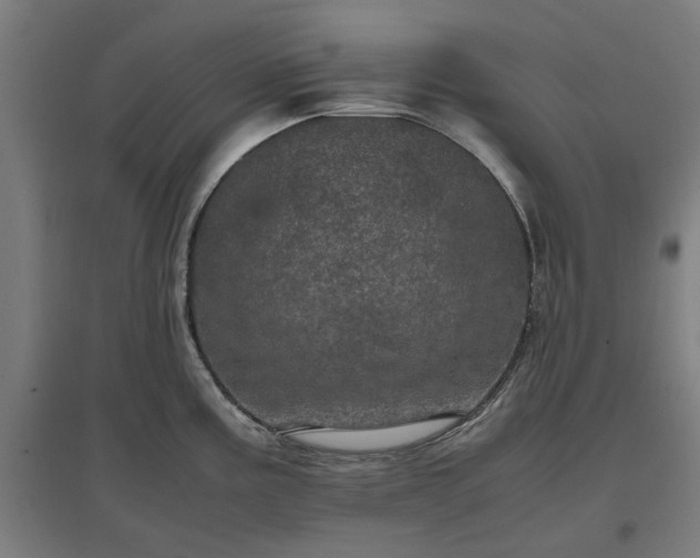 X0000096981195200802151323