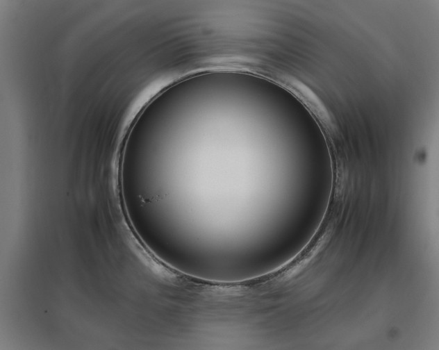 X0000096981196200802151323