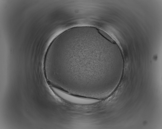 X0000096981197200802151323