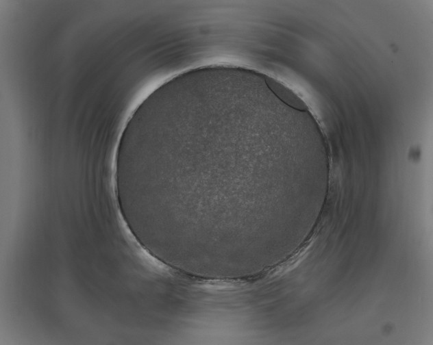 X0000096981199200802151323