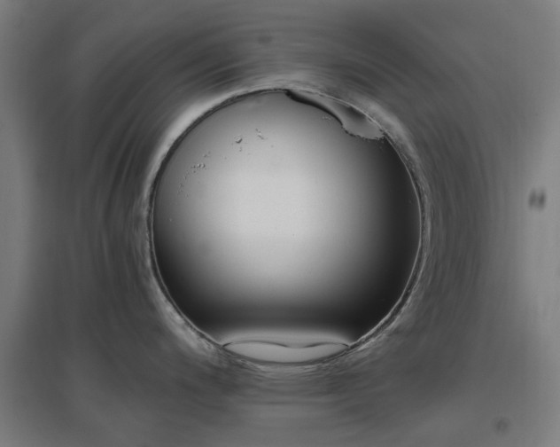 X0000096981200200802151323