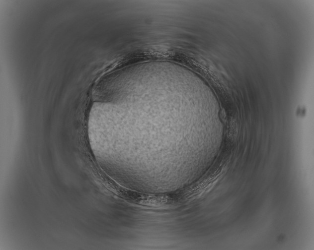 X0000096981201200802151323