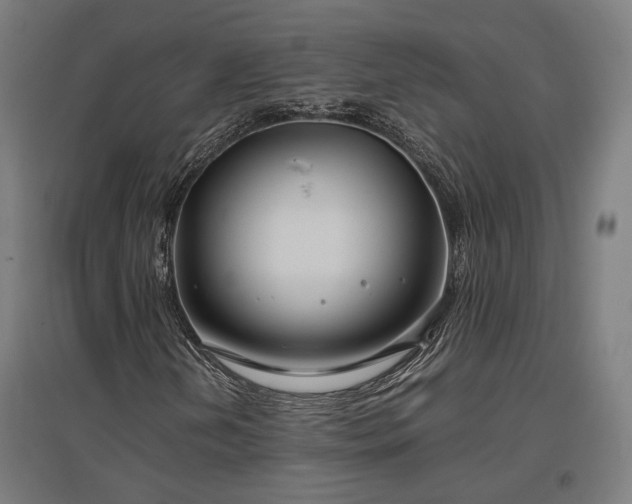 X0000096981202200802151323