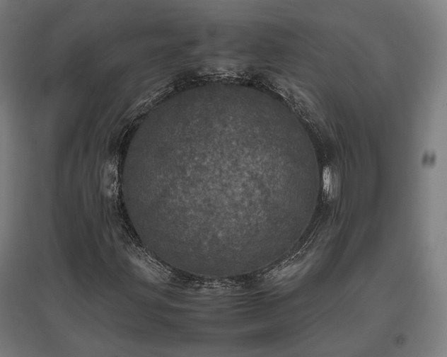 X0000096981203200802151323