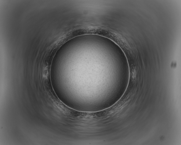 X0000096981204200802151323