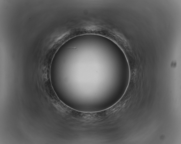 X0000096981205200802151323