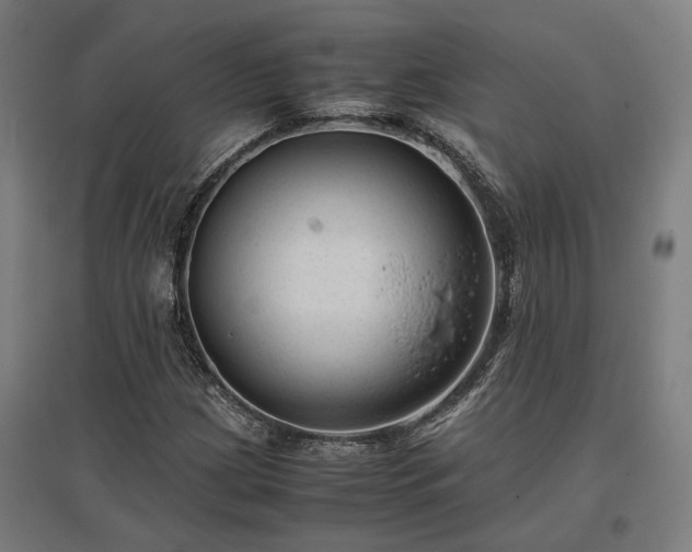 X0000096981209200802151323