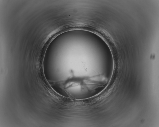 X0000096981210200802151323