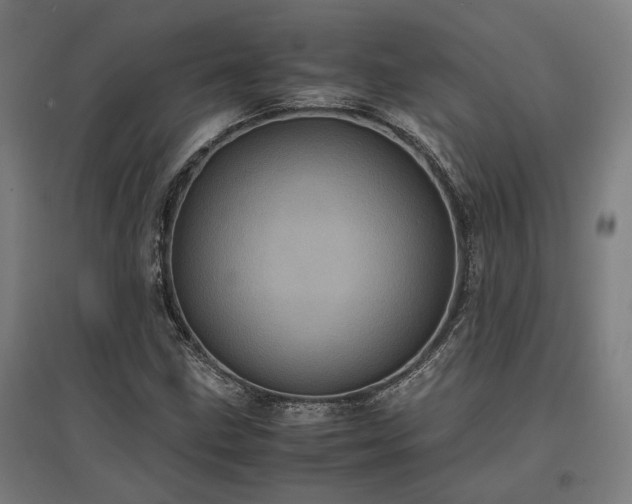 X0000096981211200802151323