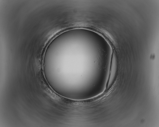 X0000096981212200802151323