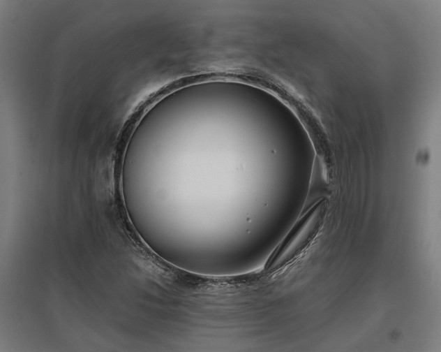 X0000096981214200802151323