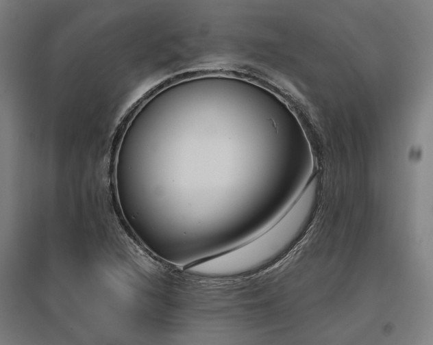 X0000096981216200802151323