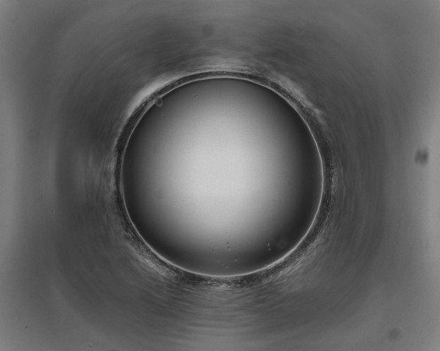 X0000096981222200802151323